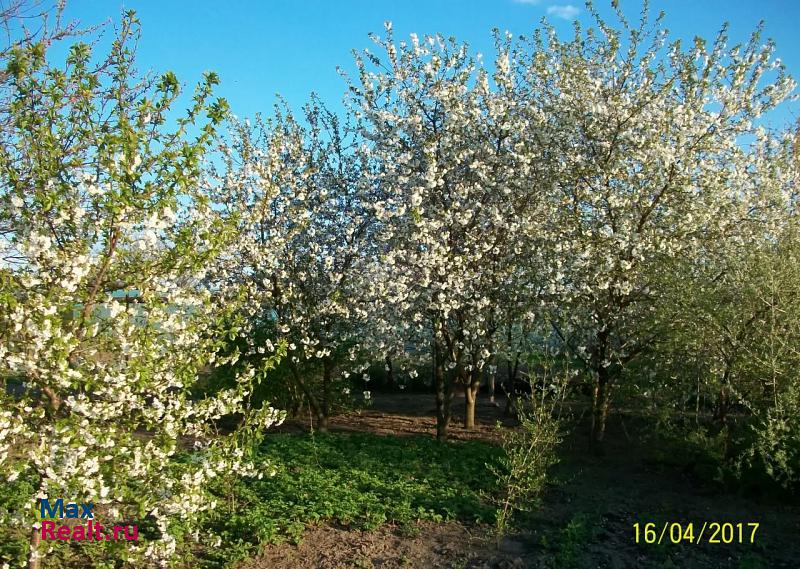 Курганинск ул Партизанская, 5 дом