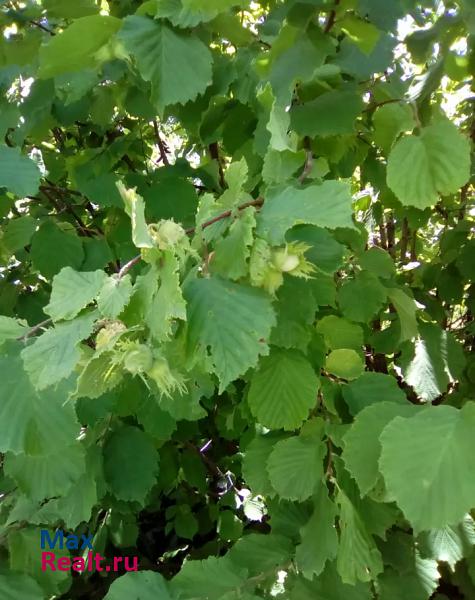 Горячий Ключ поселок, городской округ Горячий Ключ, Кутаис дом купить