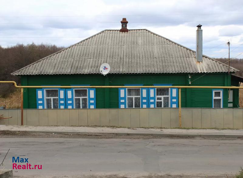 купить частный дом Лиски Лискинский район, село Залужное ул. Гагарина