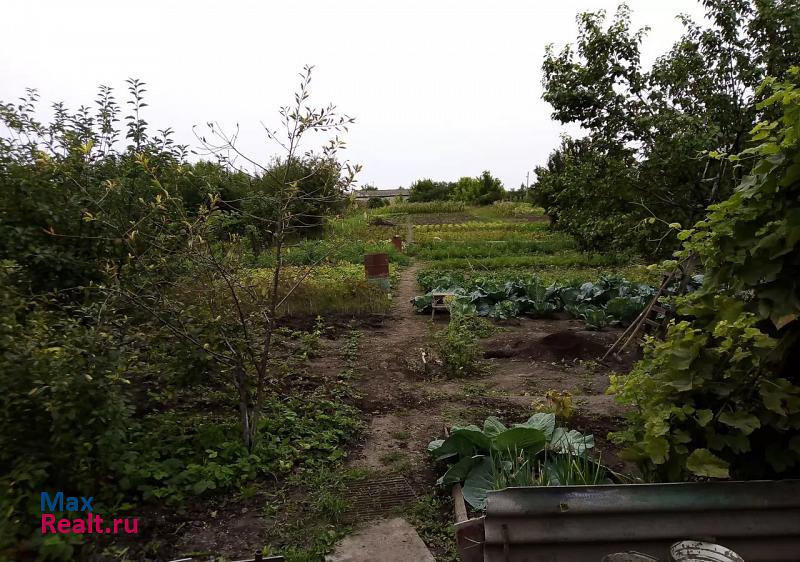 купить частный дом Лиски село Селявное (Селявинское с/п), Донская улица