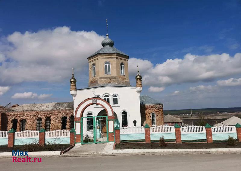 купить частный дом Лиски село Селявное (Селявинское с/п), Школьная улица