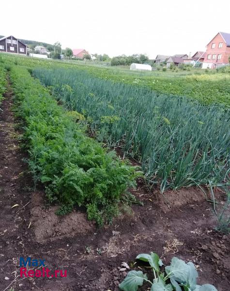 Елабуга Елабужский район, село Танайка дом