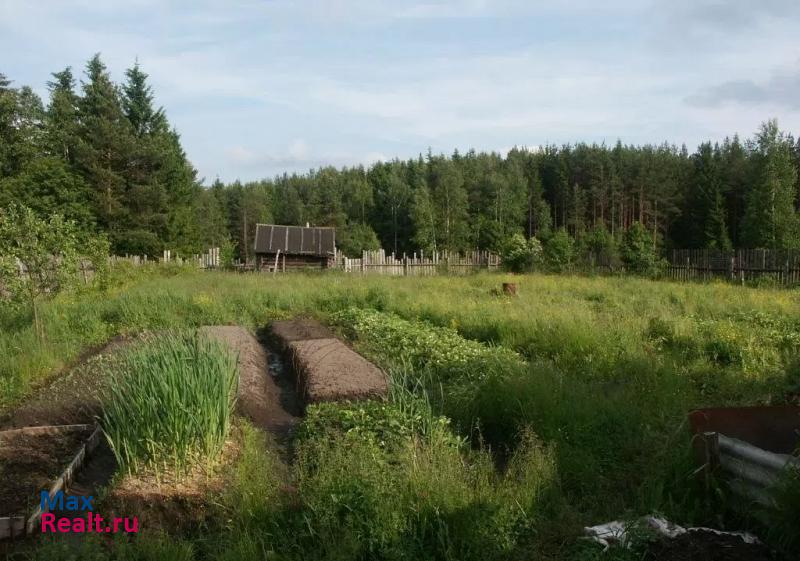 Гусь-Хрустальный станция Нечаевская дом купить