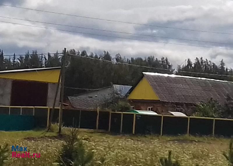Нижнеудинск село Мельница продажа частного дома