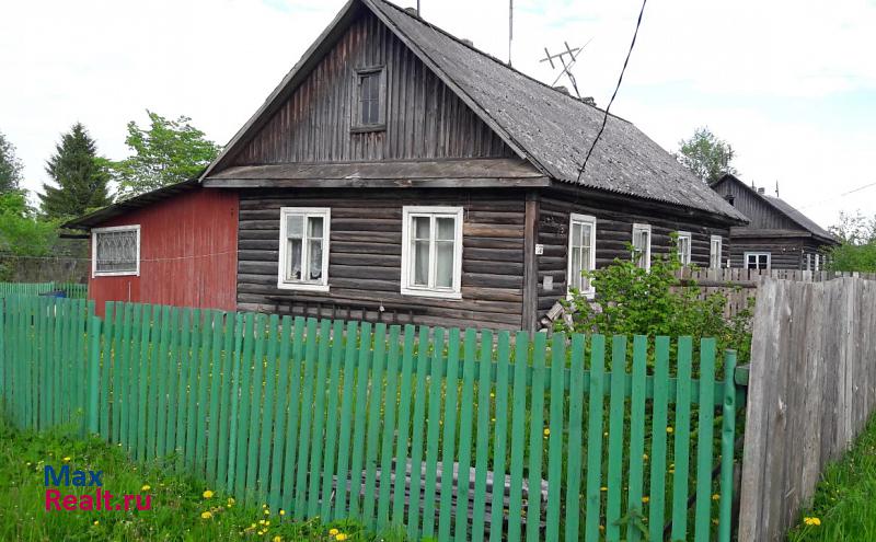 Луга Торковичское сельское поселение, поселок Торковичи частные дома
