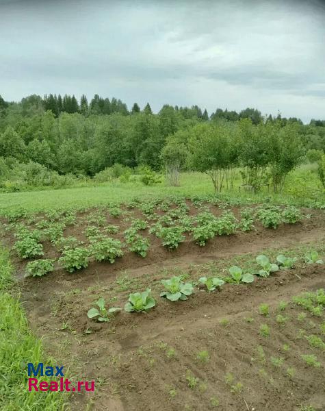 купить частный дом Воткинск Удмуртская Республика, деревня Верхняя Талица