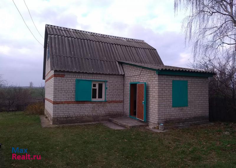 купить частный дом Елец деревня Чернышевка