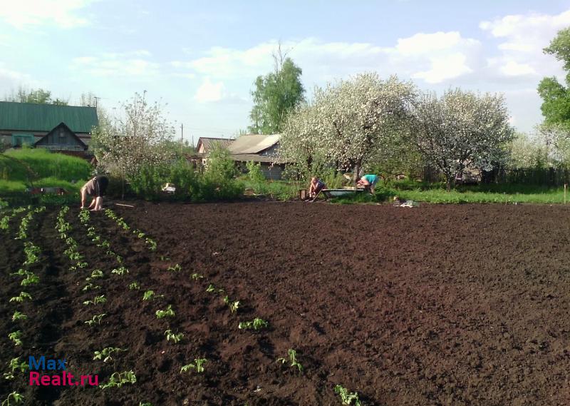 купить частный дом Елец деревня Большая Александровка