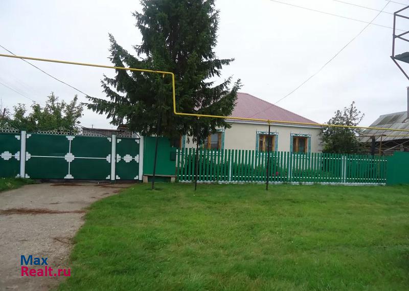 купить частный дом Нижнекамск село Каенлы, улица Татарстан