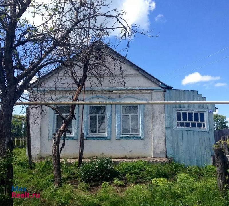 купить частный дом Саранск село Новые Турдаки, Кочкуровский район