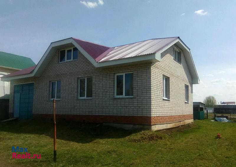 купить частный дом Нижнекамск деревня Новое Минькино