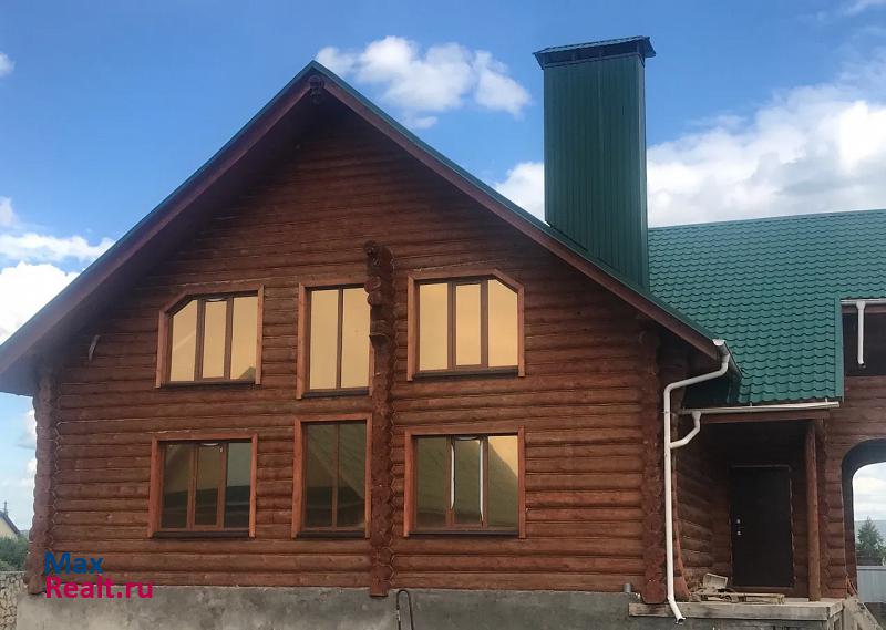 купить частный дом Нижнекамск село Борок