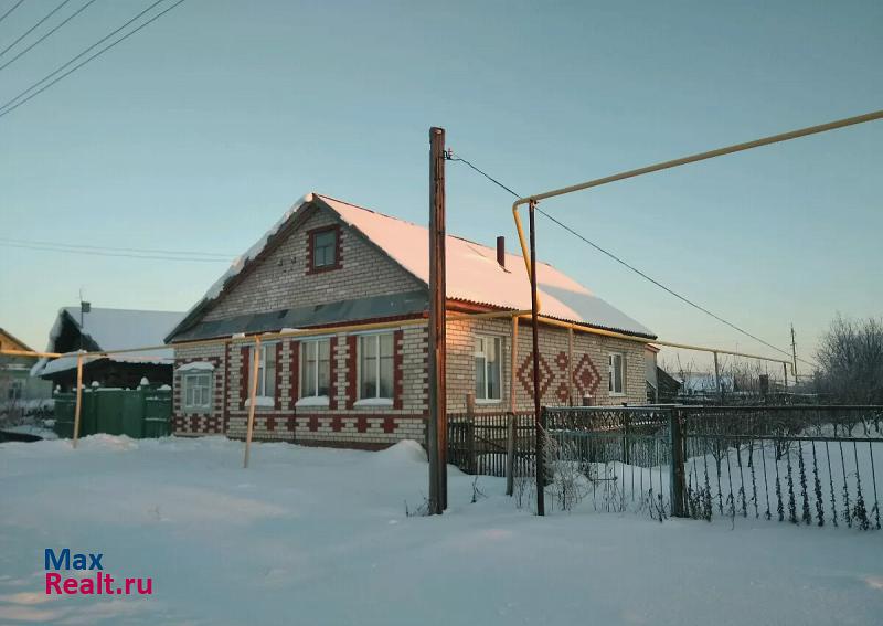 купить частный дом Нижнекамск Нижнекамский район, село Борок