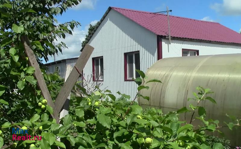 купить частный дом Благовещенск село Ровное, Центральная улица, 61