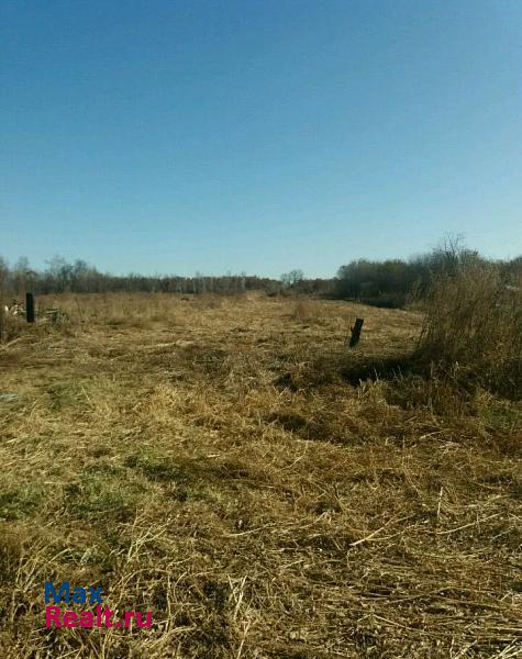 купить частный дом Благовещенск село Богородское, Партизанская улица, 35