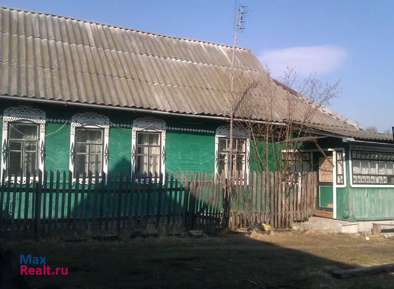 купить частный дом Брянск Нетьинское сельское поселение, деревня Толвинка