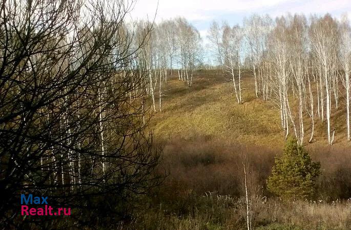 купить частный дом Кемерово СНТ Александровские родники сад