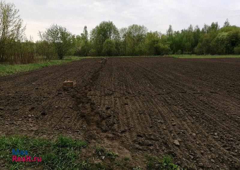 купить частный дом Липецк село Сошки, Ягодная улица