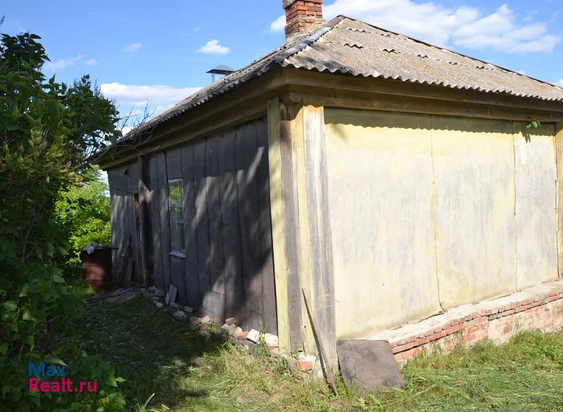 купить частный дом Воронеж Хохольский район, c. Костенки