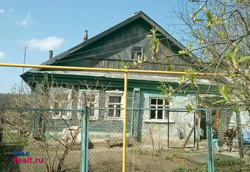 купить частный дом Нижний Новгород Кстовский район, деревня Ройка, 91