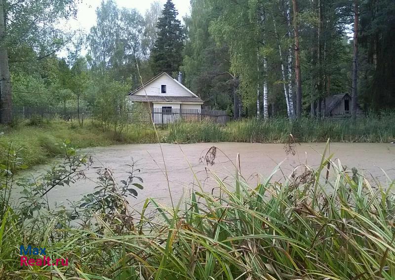 купить частный дом Новописцово посёлок городского типа Новописцово, Лесная улица, 14