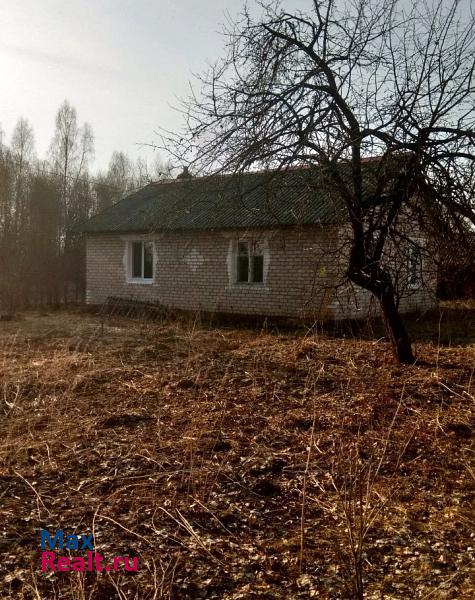 купить частный дом Шаталово Починковский район, деревня Климщина