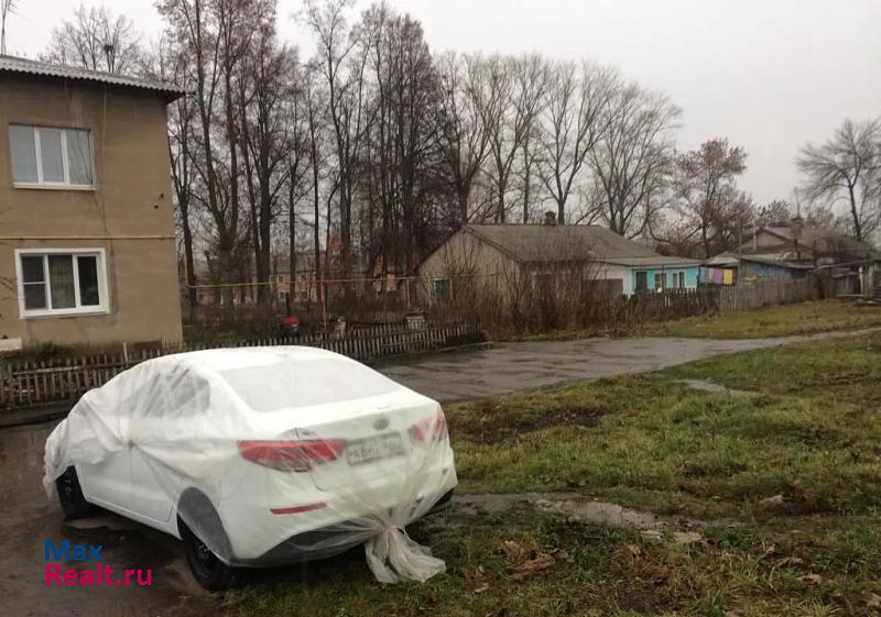 поселок городского типа Октябрьский, поселок Змеинка, Зелёная улица, 5 Октябрьский квартира