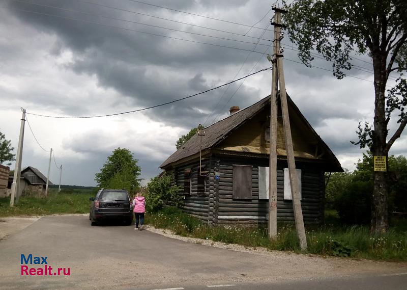 Луга Новгородская область, деревня Подберезье частные дома