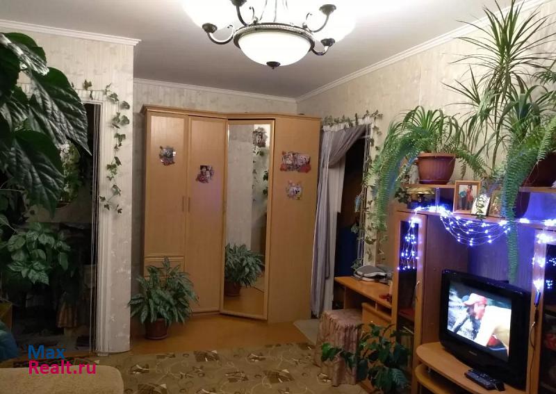Ботаническая улица, 45А Минусинск купить квартиру