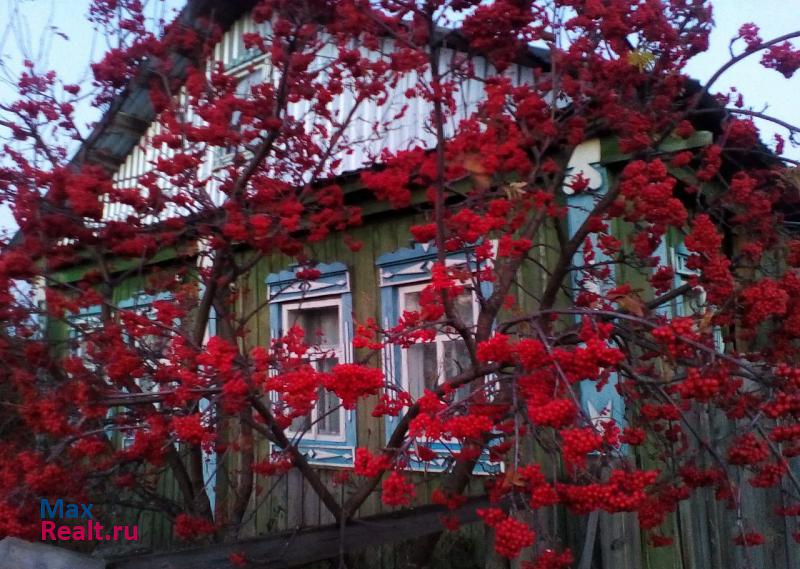 купить частный дом Бутка Курганская область, село Параткуль