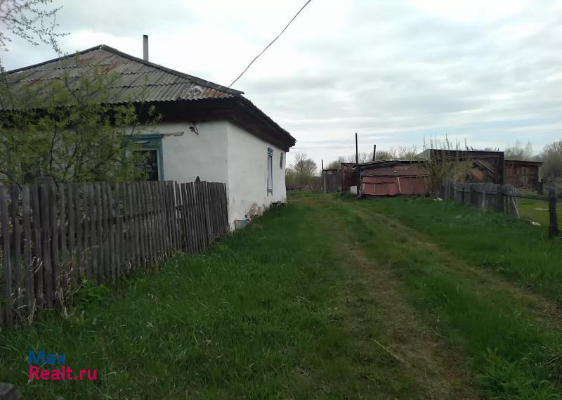 Рубцовск село Новоалександровка, Центральная улица
