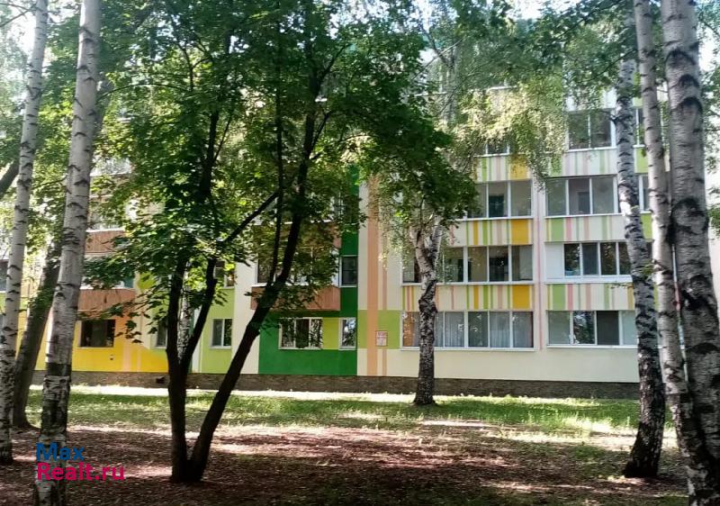 Спортивная улица, 13 Нижнекамск купить квартиру