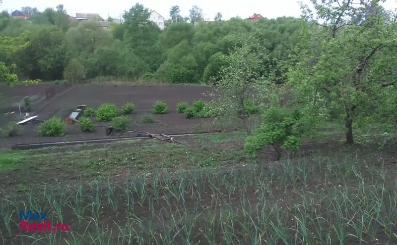 Саранск село Куликовка, городской округ Саранск