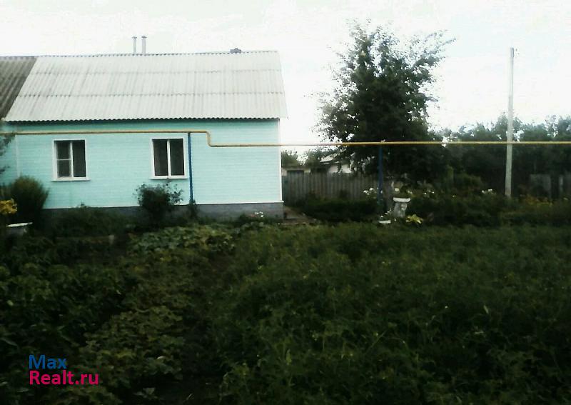 Курчатов село Любимовка дом