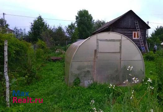 Кострома деревня Коточижовки, Некрасовский район