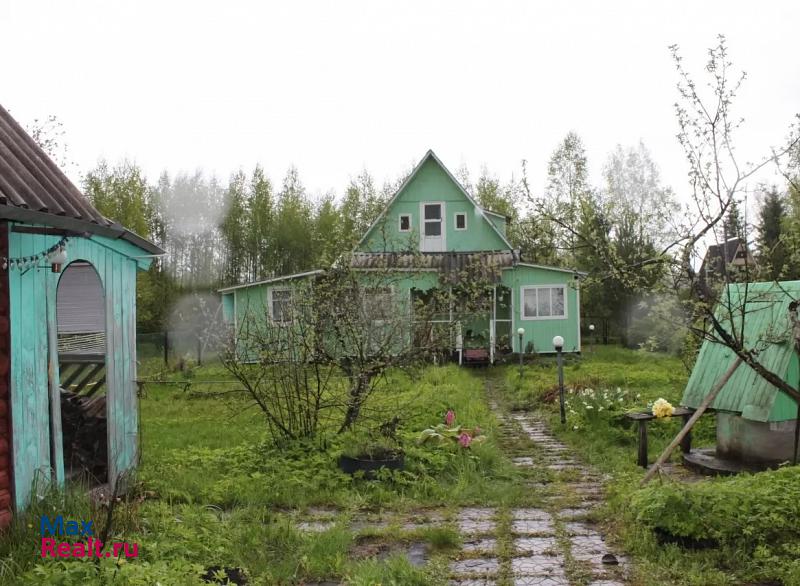 Санкт-Петербург Россия, Тосненский район, СНТ Белочка