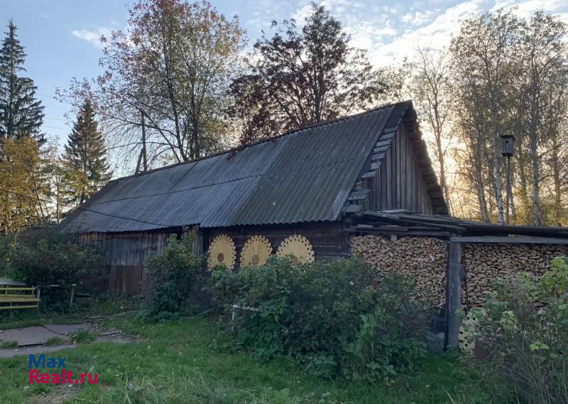 Кунгур Кунгурский район, деревня Плашкино