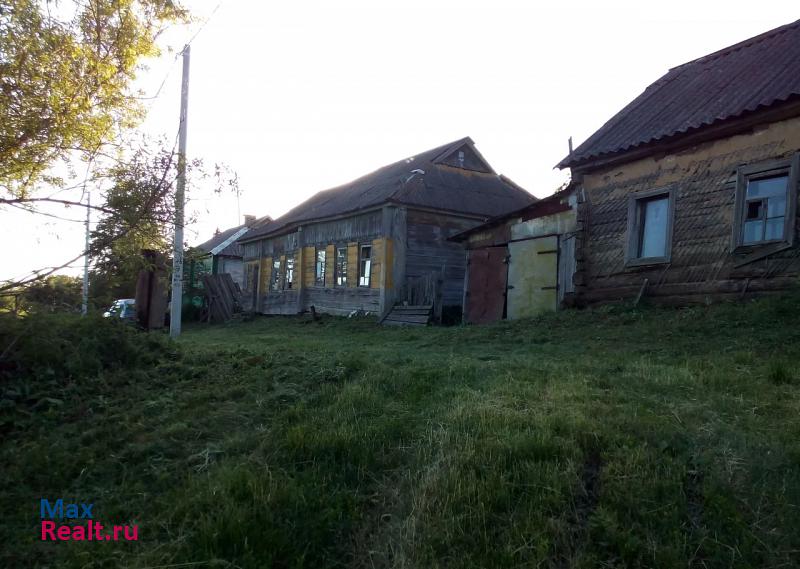 Железногорск село Трояново