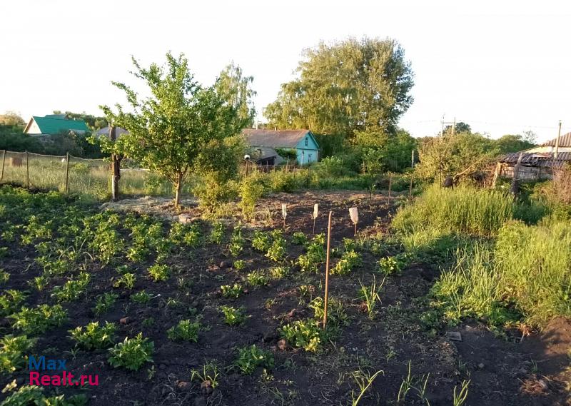 Старый Оскол село Федосеевка, улица Алтуховка, 28