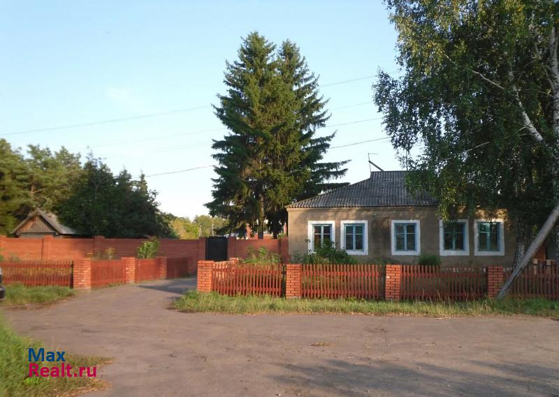 Омск село Нижнеиртышское, Центральная улица
