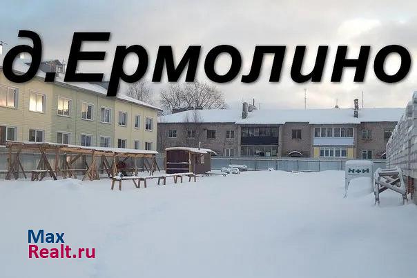 Великий Новгород деревня Новая Мельница, Новгородский район