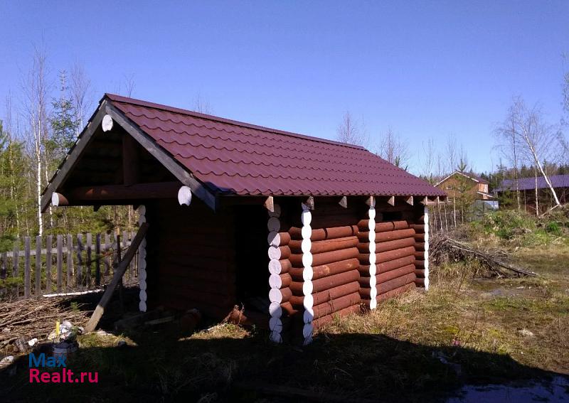 Сыктывкар городской округ Сыктывкар