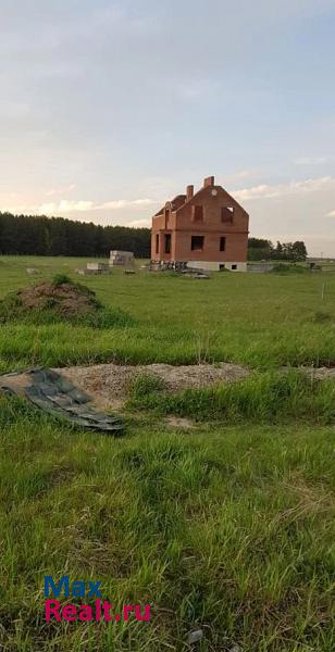 Красноярск деревня Ермолаево, Берёзовский район