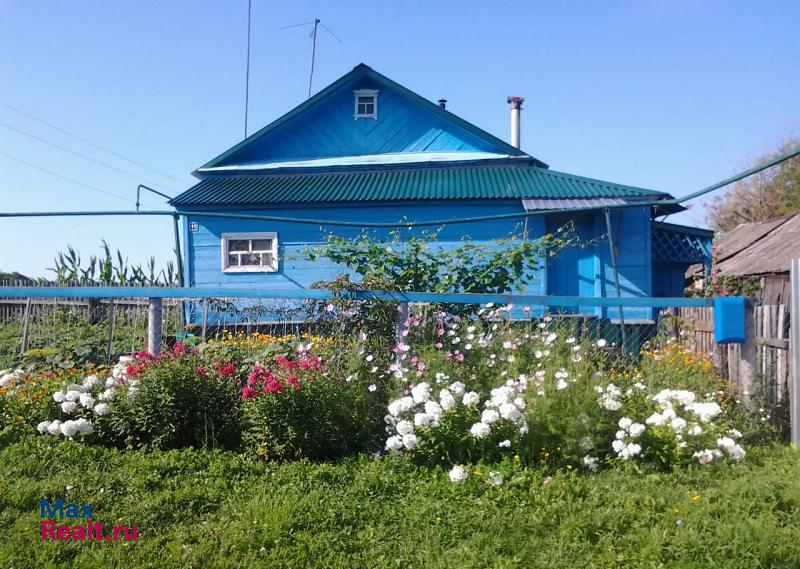 Саранск Деревня Николаевка, ул.Центральная, 11