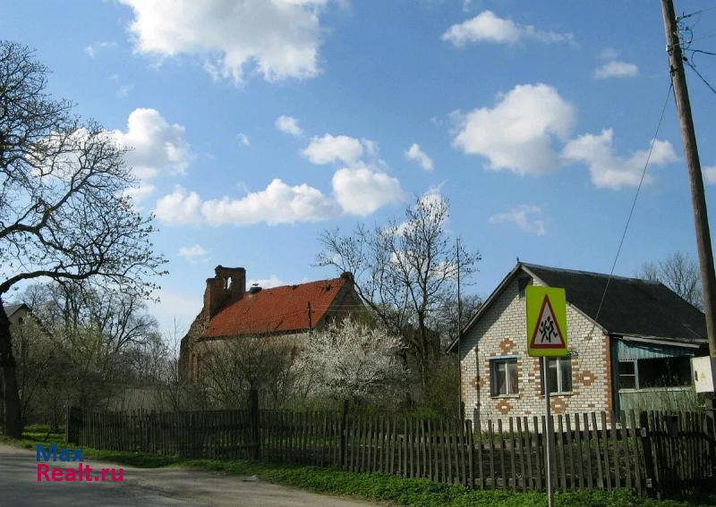 Калининград посёлок Кумачёво, Зеленоградский городской округ