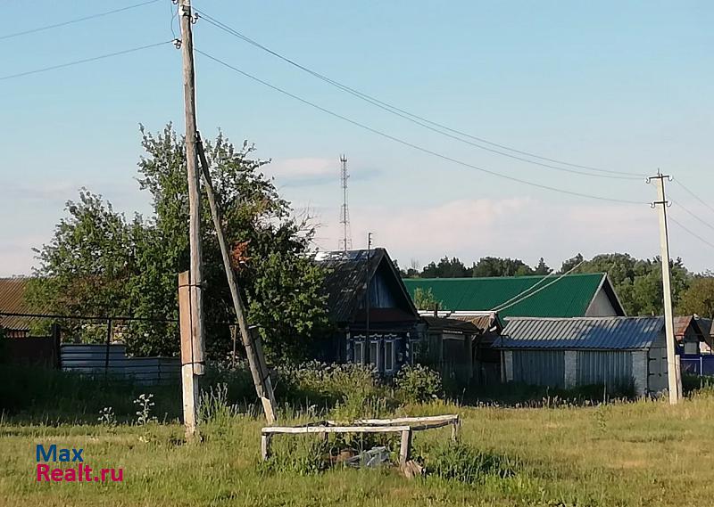 Новочеремшанск село Боровка