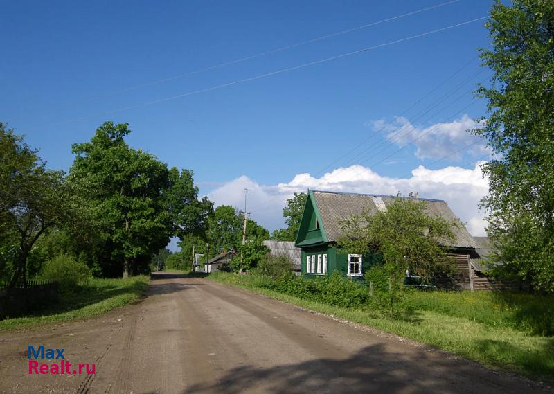 Луга Новгородская область, Батецкий район частные дома