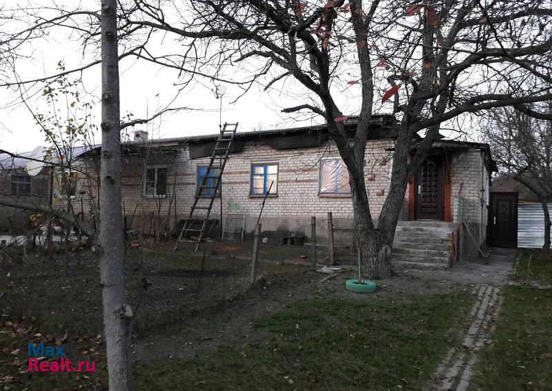 Гражданское село Прикумское, Ново-Виноградная улица