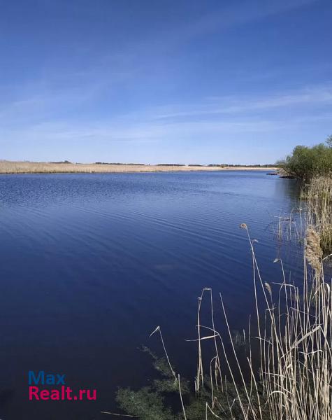 Ишим село Гагарино, улица Мира частные дома