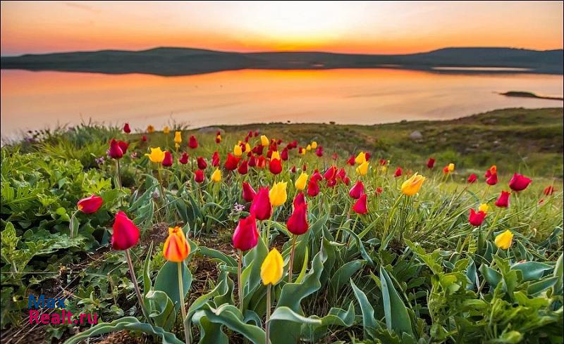 Керчь Ленинский район, село Марьевка, улица Горького частные дома